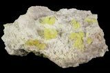 Sulfur Crystal Clusters on Matrix - Nevada #69146-1